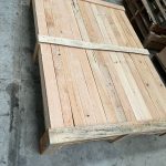 WhatsApp Image 2025-07-22 at 3.30.26 PM (1)