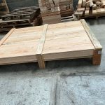 WhatsApp Image 2025-07-22 at 3.30.26 PM