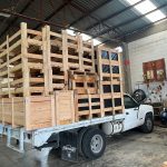 WhatsApp Image 2025-07-22 at 3.30.28 PM (2)