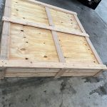 WhatsApp Image 2025-07-22 at 3.30.34 PM