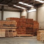 WhatsApp Image 2025-09-04 at 4.57.41 PM (1)