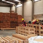 WhatsApp Image 2025-09-04 at 4.57.42 PM