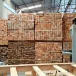 WhatsApp Image 2025-09-04 at 4.57.46 PM (2)