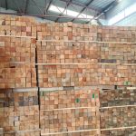 WhatsApp Image 2025-09-04 at 4.57.47 PM